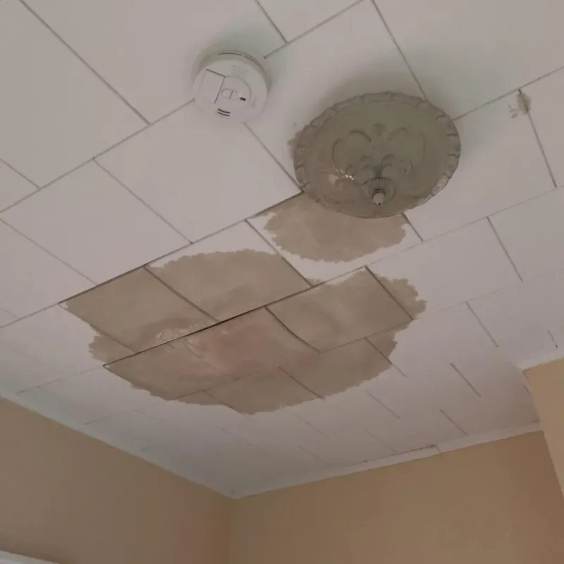 Ceiling Water Damage Repair in Saline County, AR